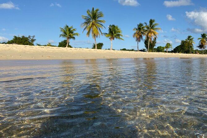 Vieques Bio Bay Tour and Beach Day Trip from San Juan by Ferry - Transportation and Logistics: What It Means for You