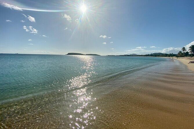 Vieques Bio Bay Tour and Beach Day Trip from San Juan by Ferry - Authentic Experiences and Highlights