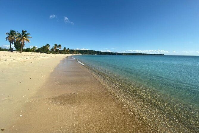 Vieques Bio Bay Tour and Beach Day Trip from San Juan by Ferry - FAQ