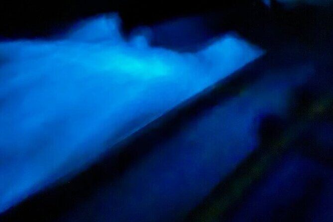 Vieques island Biobay Kayaking Tour - In-Depth Look at the Tour Experience