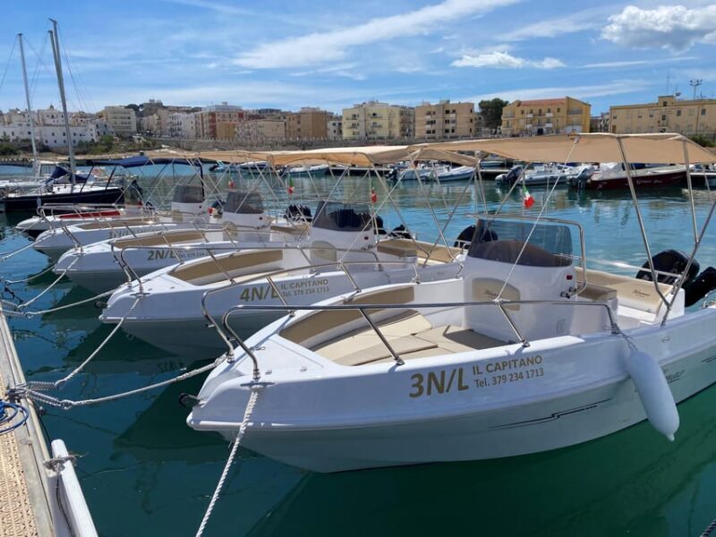 Vieste: Boat tour of the Gargano coast - Key Points