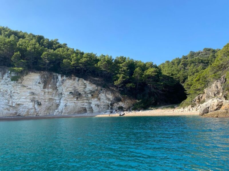 Vieste: Boat tour of the Gargano coast - An Overview of the Vieste Boat Tour Experience