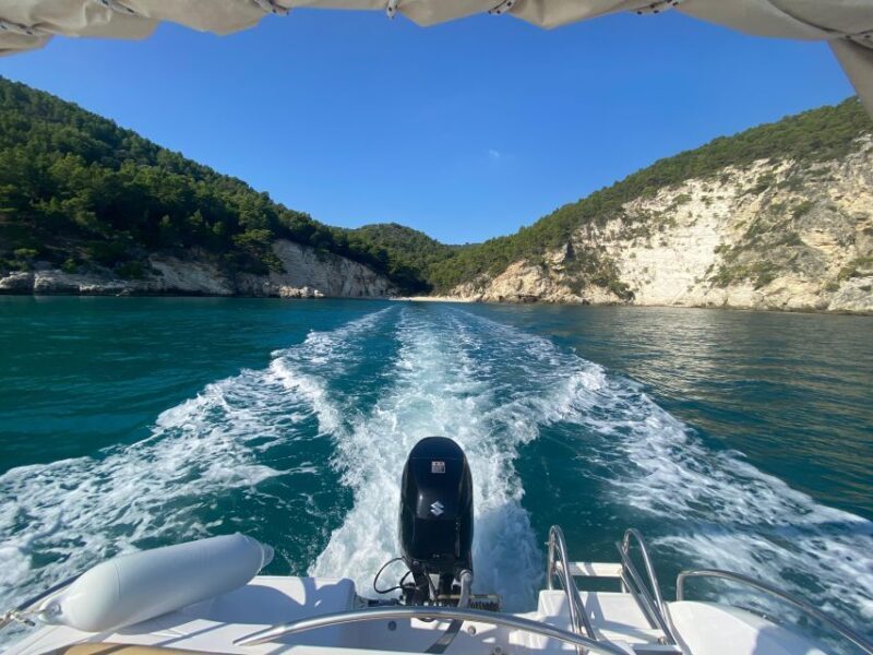 Vieste: Boat tour of the Gargano coast - Value and Cost Analysis