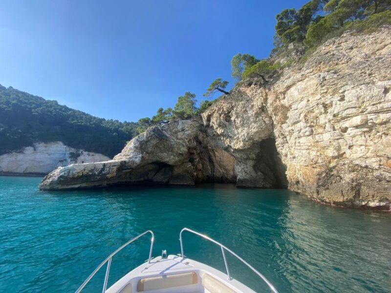 Vieste: Boat tour of the Gargano coast - Final Thoughts: Is This Tour Worth It?