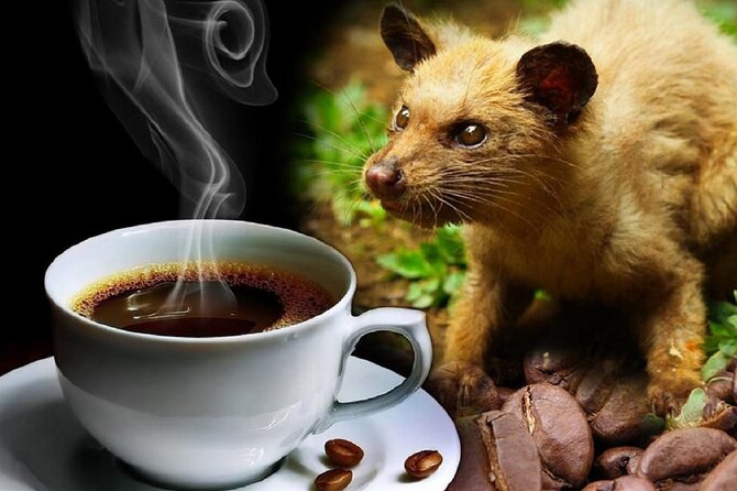 Vietnamese Culture and Coffee Making Class - What to Expect During the Tour
