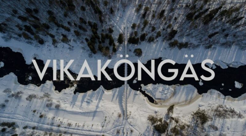 Vikaköngäs Hiking Tour to the Top of the Hill With BBQ - Booking Information