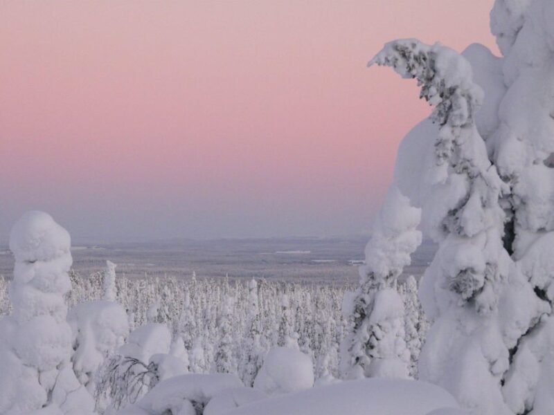 Vikaköngäs Hiking Tour to the Top of the Hill With BBQ - What to Expect