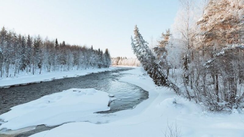 Vikaköngäs Hiking Tour to the Top of the Hill With BBQ - Frequently Asked Questions