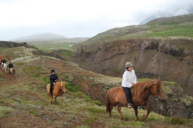 Viking Horse Riding and Golden Circle Tour from Reykjavik - The Sum Up
