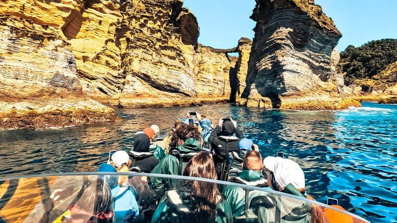 Vila Franca Islet: Biologist Guided Boat Around Eco Tour - The Cost and What You’re Getting