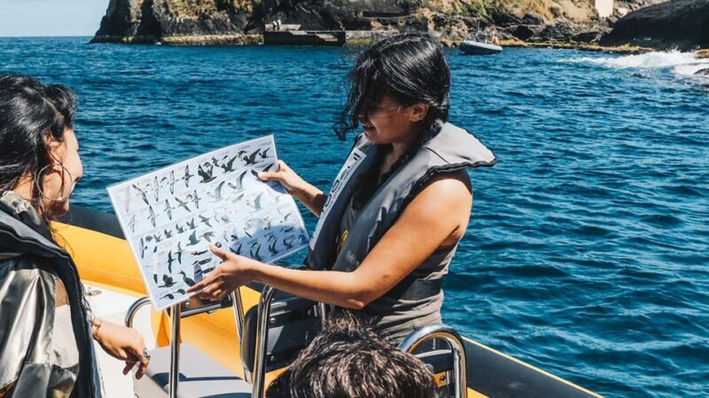 Vila Franca Islet: Biologist Guided Boat Around Eco Tour - Authenticity and Reviews