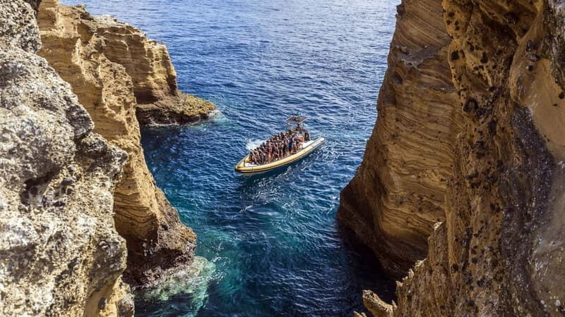 Vila Franca Islet: Biologist Guided Boat Around Eco Tour - The Sum Up