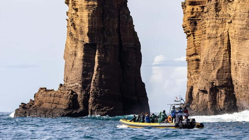 Vila Franca Islet: Biologist Guided Boat Around Eco Tour - FAQ