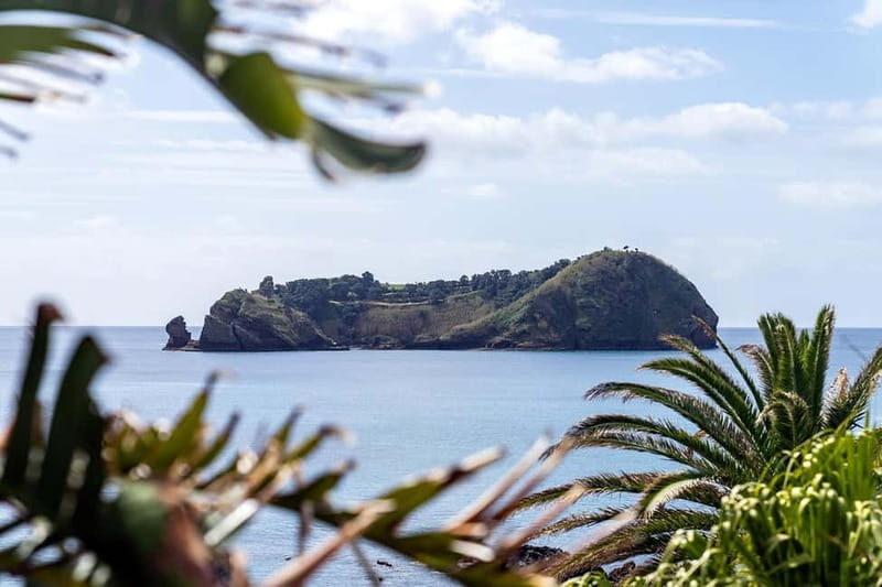 Vila Franca Islet: Inside Guided Natural Reserve Geo Tour - The Sum Up