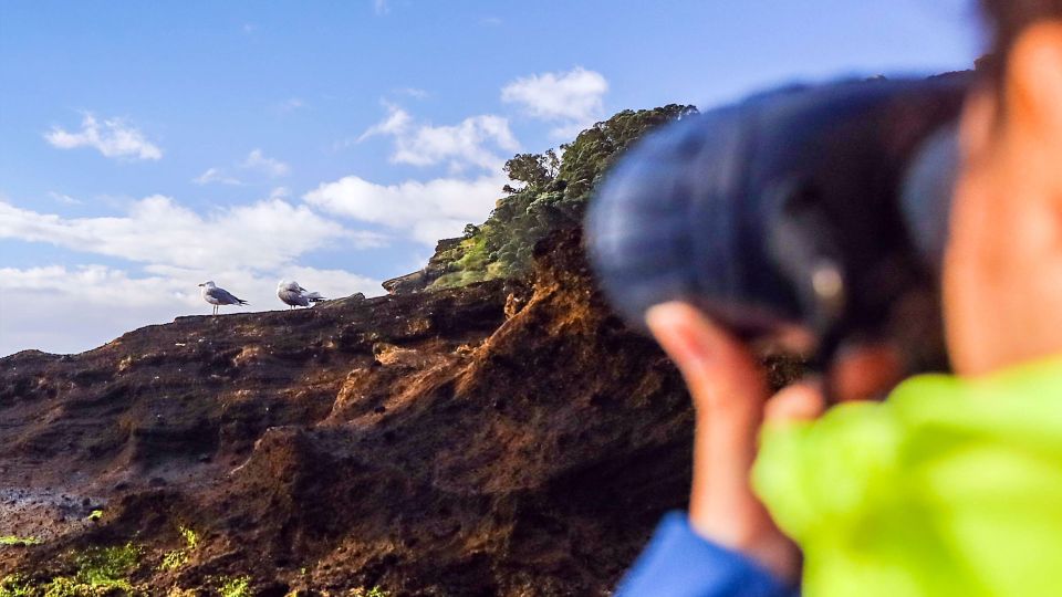 Vila Franca Islet: Off-coast Nature Reserve Tour - Itinerary and Activities