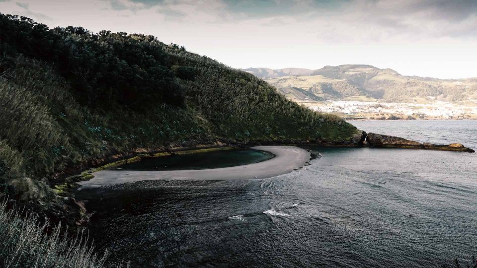 Vila Franca Islet: Off-coast Nature Reserve Tour - Customer Feedback