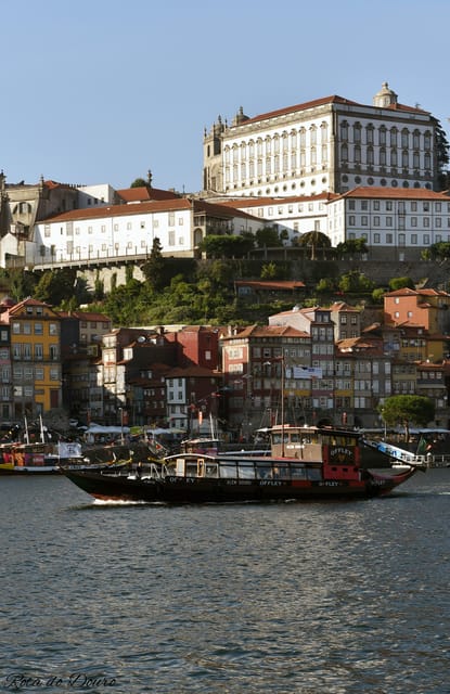 Vila Nova de Gaia: Cruzeiro das Pontes - Discovering the Scenic Route: What to Expect