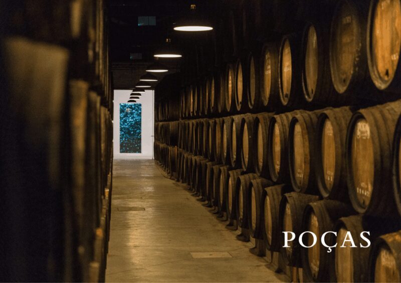 Vila Nova de Gaia: Winery Tour with 2 DOC Douro & 2 Ports - A Closer Look at the Tour Experience