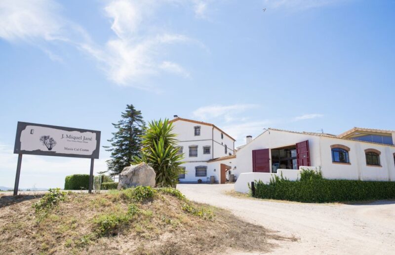 Vilafranca Del Penedès: Winery Visit With Tastings - Pricing and Reservation Details