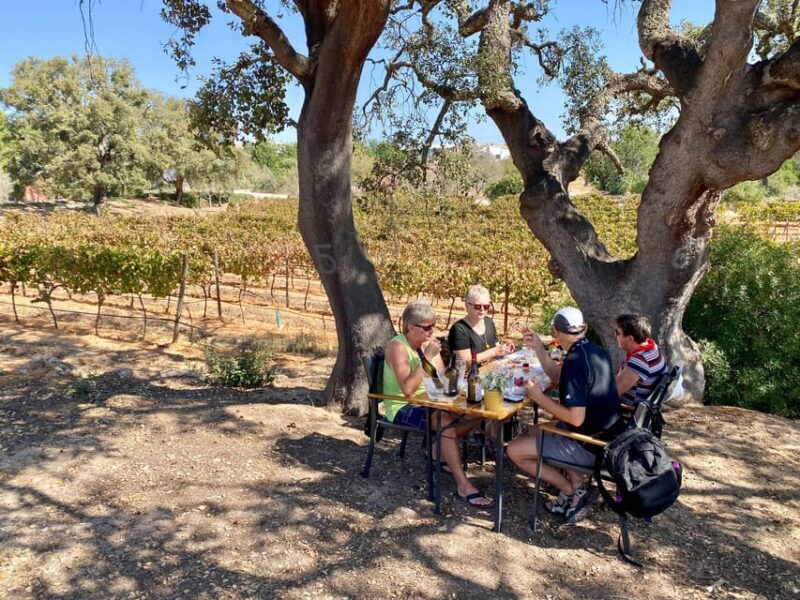Vilamoura, Albufeira, Lagos: Algarve Mountains Private Tour - Authentic Experiences and Real Traveler Feedback