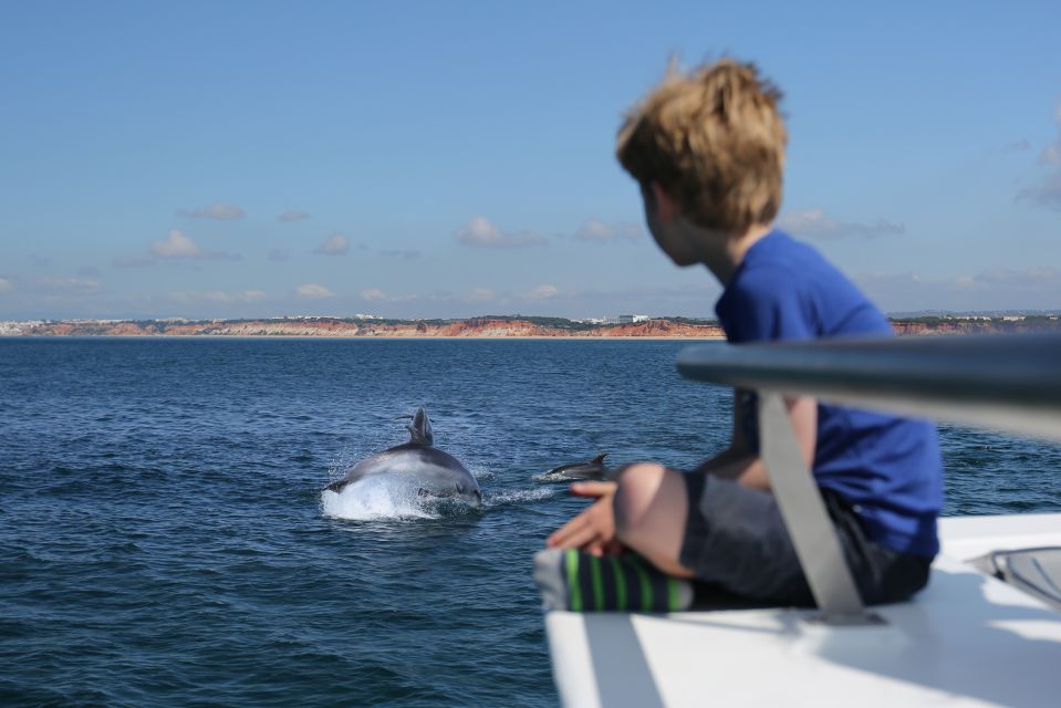 Vilamoura: Boat Tour Dolphin Quest - Booking Information