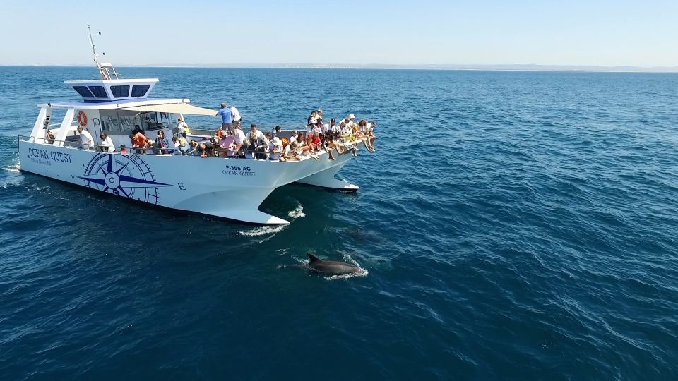 Vilamoura: Boat Tour Dolphin Quest - Customer Reviews