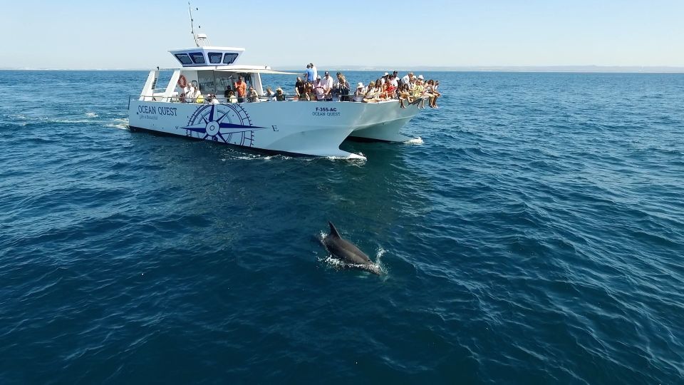 Vilamoura: Boat Tour Dolphin Quest - Additional Information