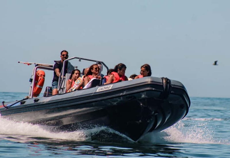 Vilamoura: Private Benagil Cave Tour Swim Stop - An In-Depth Look at the Algarve’s Coastline from Vilamoura
