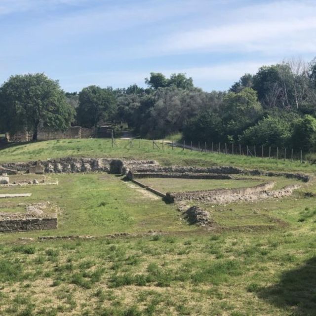 Villa DESTE in Tivoli Private Tour From Rome - Luxury Transportation Included