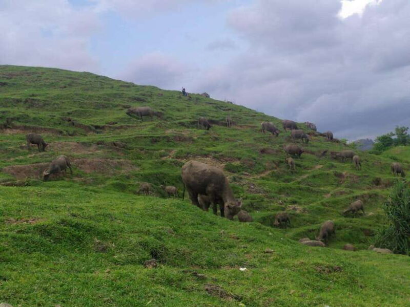 Village culture and nature sasak tour - Authentic Encounters and Stunning Views