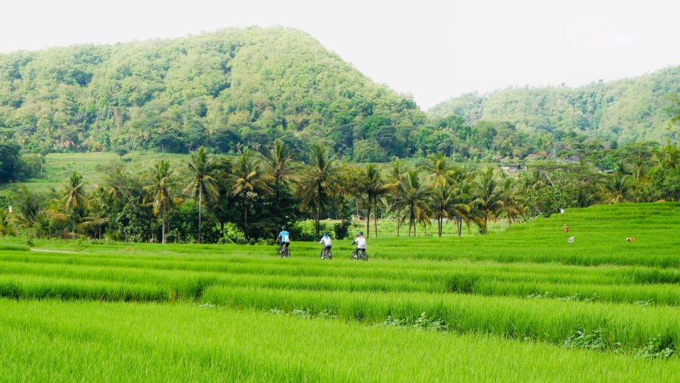 Village Cycling Tour in Nanggulan - Key Points
