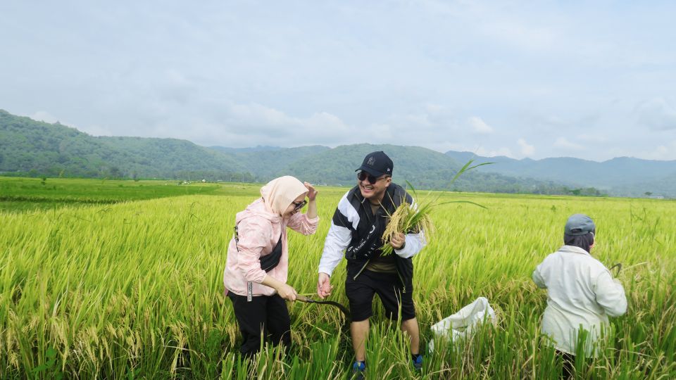 Village Cycling Tour in Nanggulan - Experience Highlights