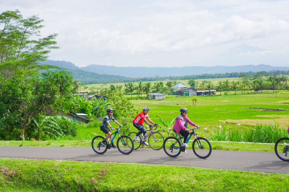 Village Cycling Tour in Nanggulan - Environmental Contribution