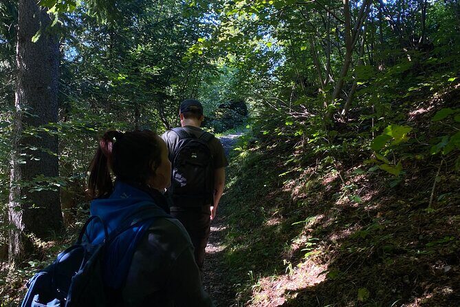 Village Explorer - Final Thoughts: Is the Village Explorer Right for You?