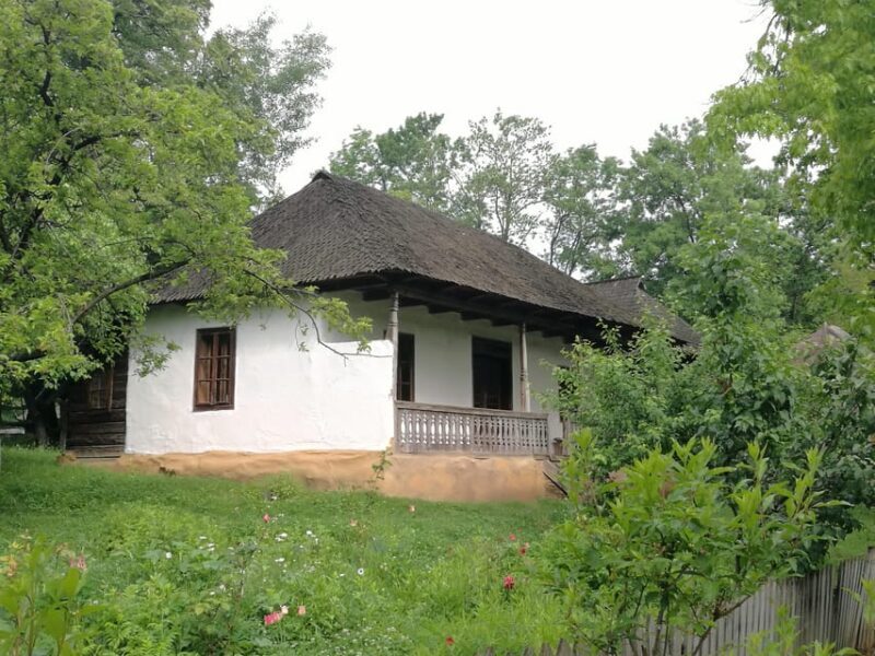 Village Museum Bucharest Guided Tour - The Sum Up