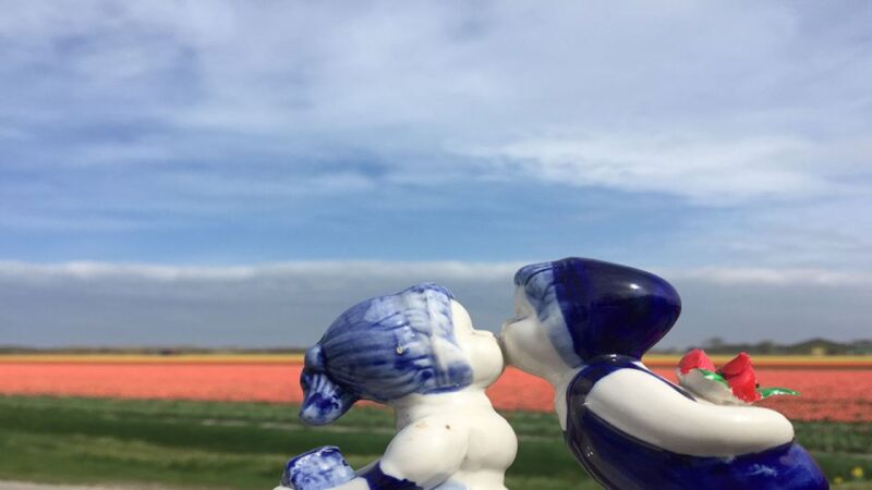 Villages & Windmills Zaanse Schans Small Group Tour - Itinerary Highlights