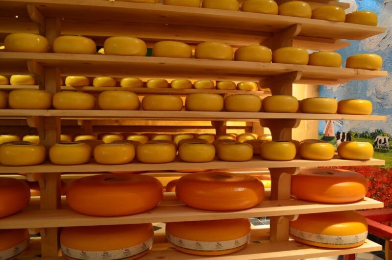 Villages & Windmills Zaanse Schans Small Group Tour - Transportation Details