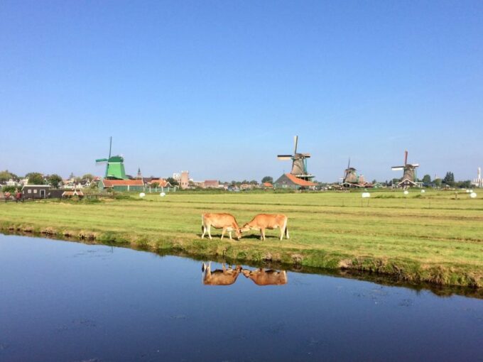 Villages & Windmills Zaanse Schans Small Group Tour - Frequently Asked Questions