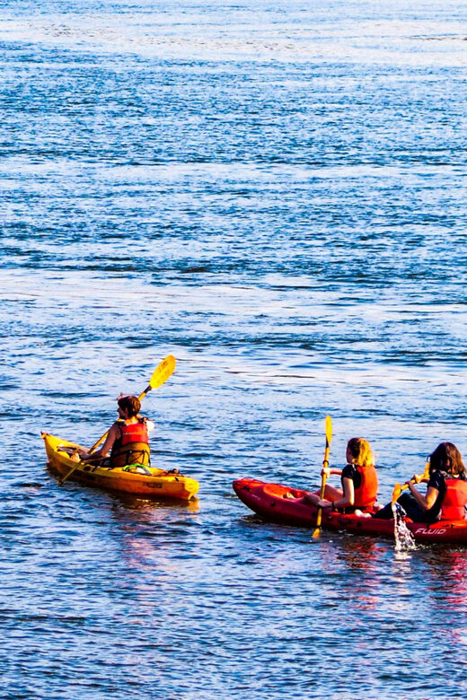 Villajoyosa: Excursión guiada en kayak con snorkel - Final Thoughts: Is This Tour Worth It?