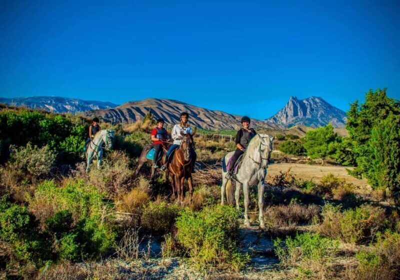 Villajoyosa Horseback Riding in the Mountains with sea views - A Close Look at the Experience