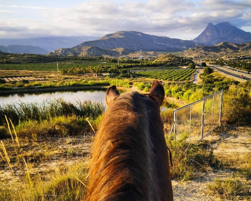 Villajoyosa Horseback Riding in the Mountains with sea views - Who Will Enjoy This Tour?