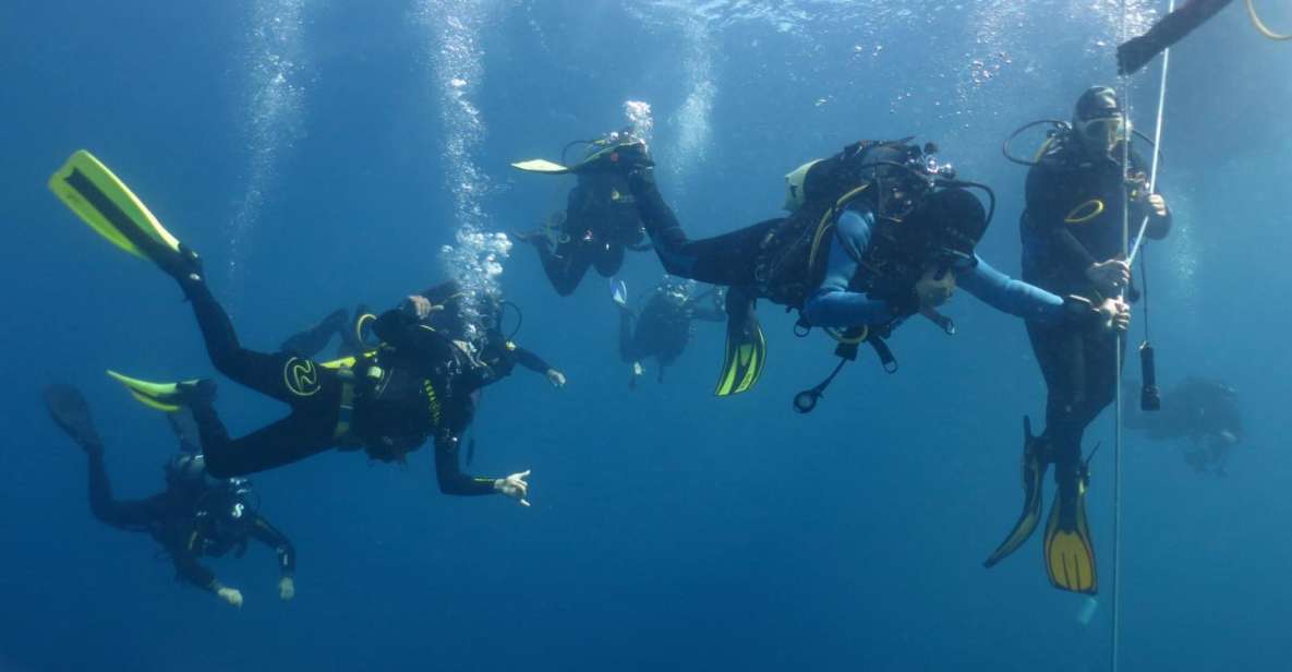 Villasimius: Capo Carbonara Marine Park Diving Tour - Diving in the Marine Park