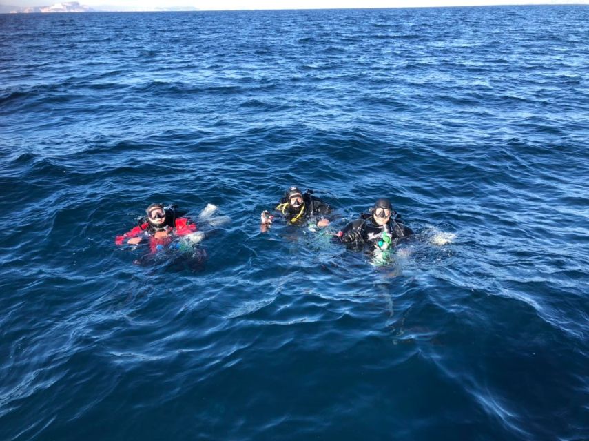 Villasimius: Capo Carbonara Marine Park Diving Tour - Diverse Marine Life Encounters