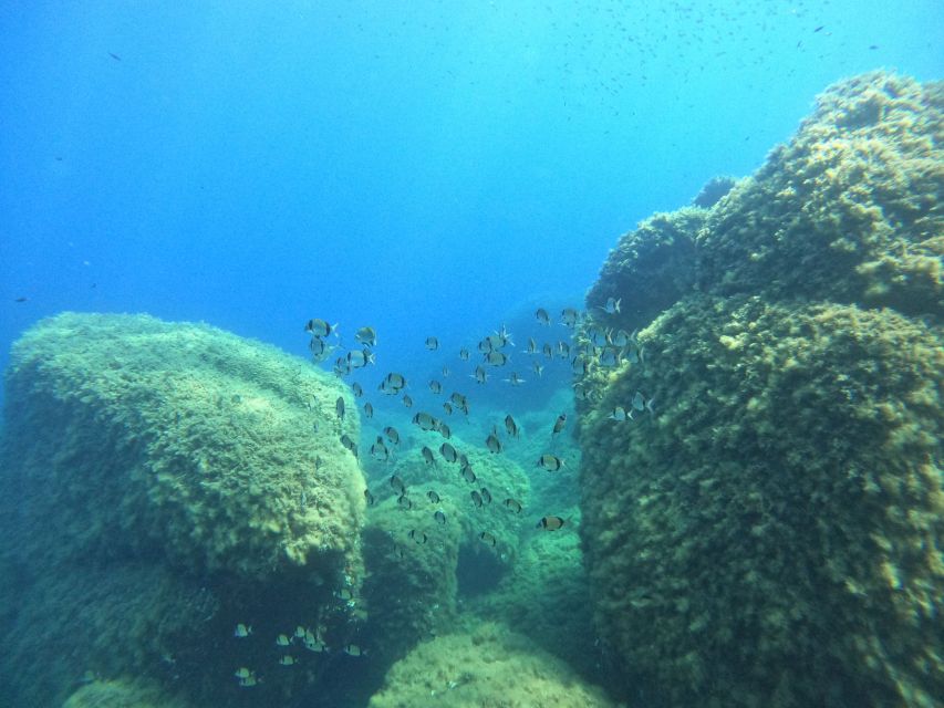Villasimius: Scuba Dive in Capo Carbona Without Certificate - Key Points