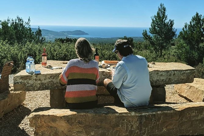 Villefranche Shore Excursion: Private Customized French Riviera Tour With Guide - Private and Flexible