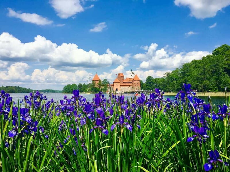 Vilnius: Half-Day Sightseeing Tour to Trakai - Who should consider this tour?