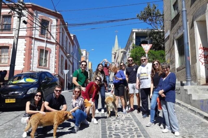 Viña Del Mar and Valparaiso: a Trip to the Pacific Ocean - Tips for Your Visit