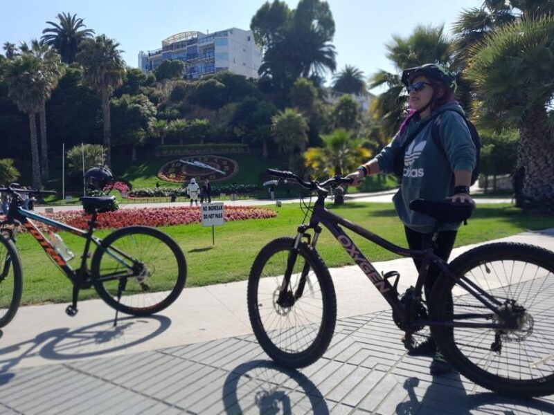 Viña Del Mar: Coastal Bike Tour - Key Points