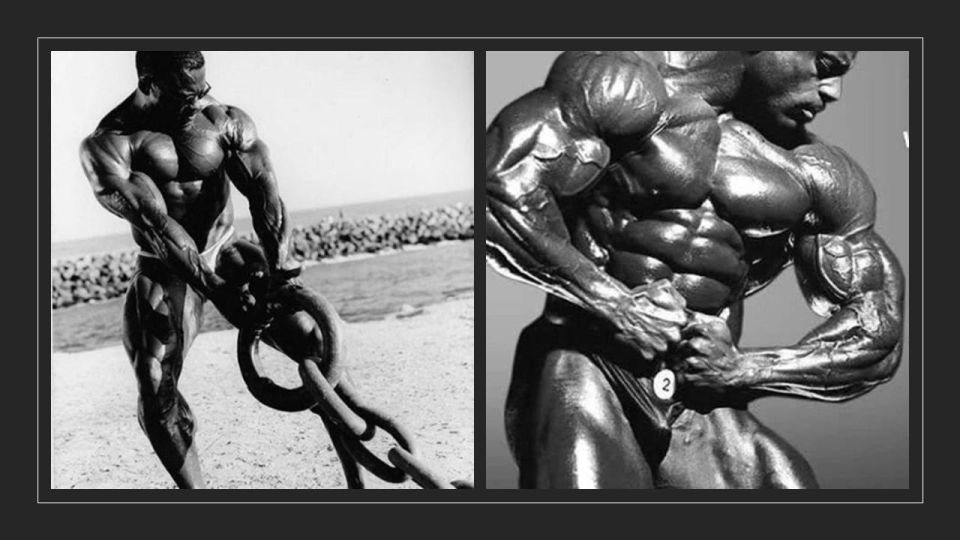 Vince Taylor Bodybuilding Experience - Whats Included