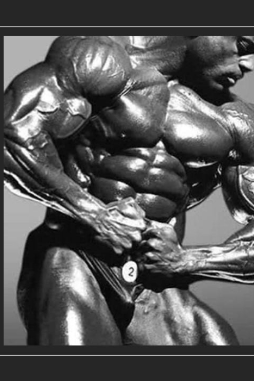 Vince Taylor Bodybuilding Experience - Recap